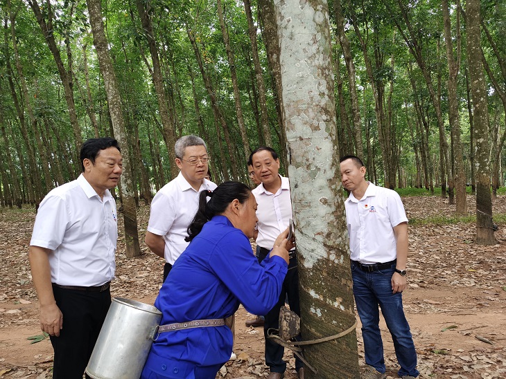 皇家国际·(中国区)有限公司官网
