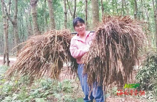 皇家国际·(中国区)有限公司官网