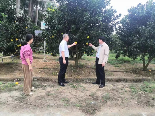皇家国际·(中国区)有限公司官网